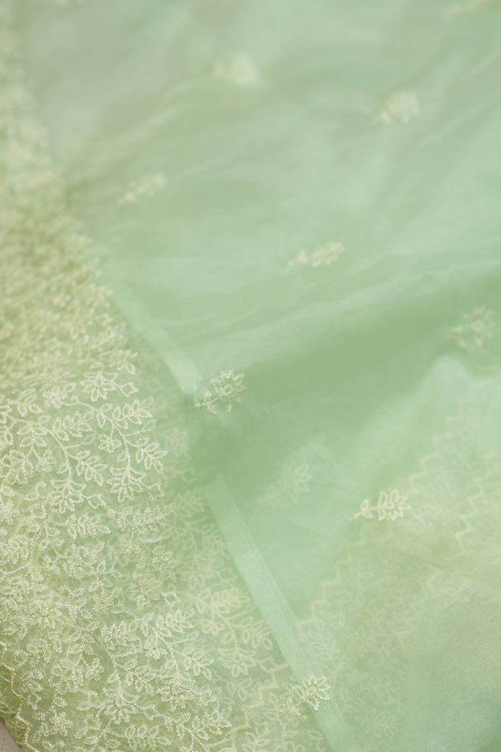 Organza Saree TSA0572