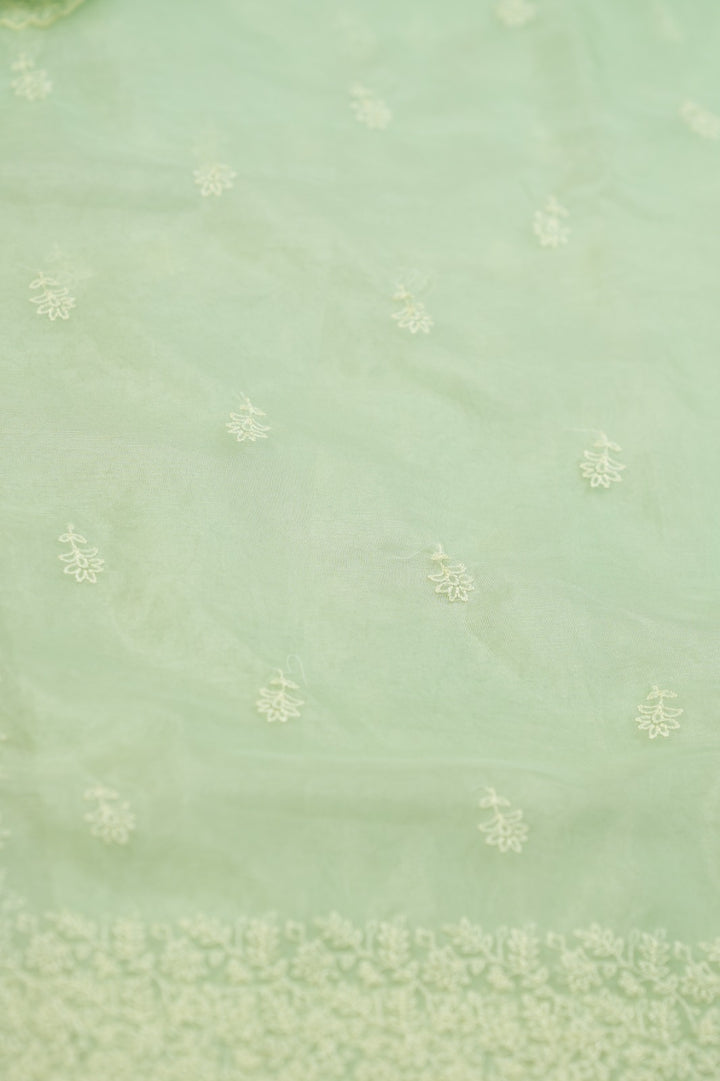Organza Saree TSA0572
