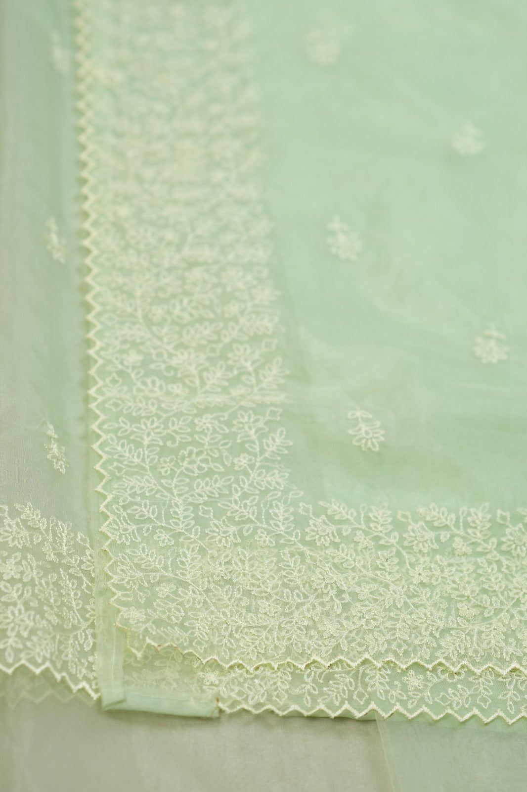 Organza Saree TSA0572