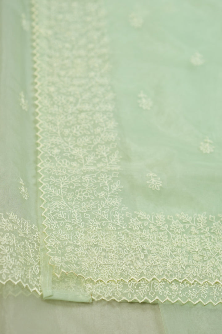 Organza Saree TSA0572