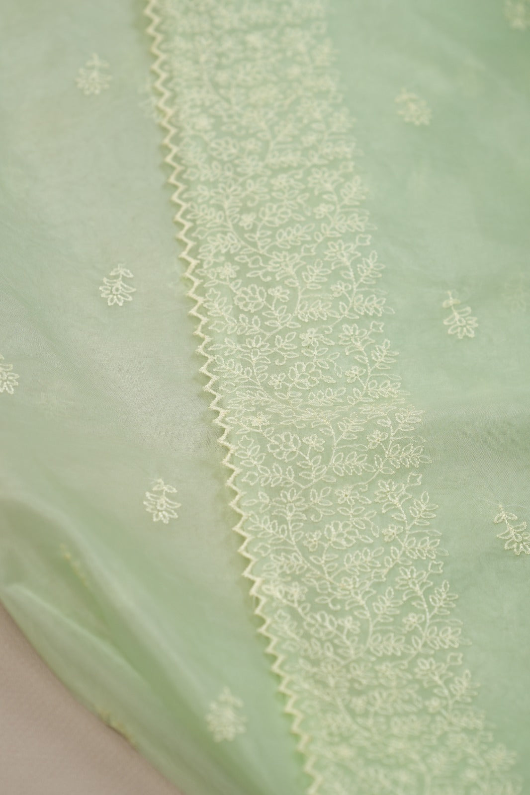 Organza Saree TSA0572