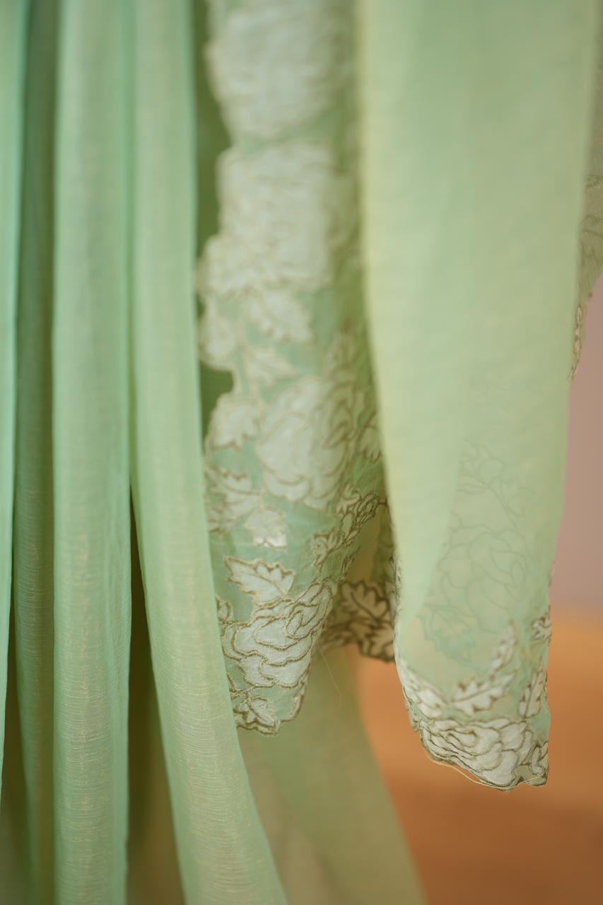 Crushed Chinnon Saree TSA0564