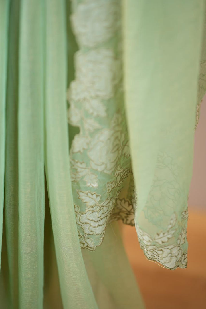 Crushed Chinnon Saree TSA0564