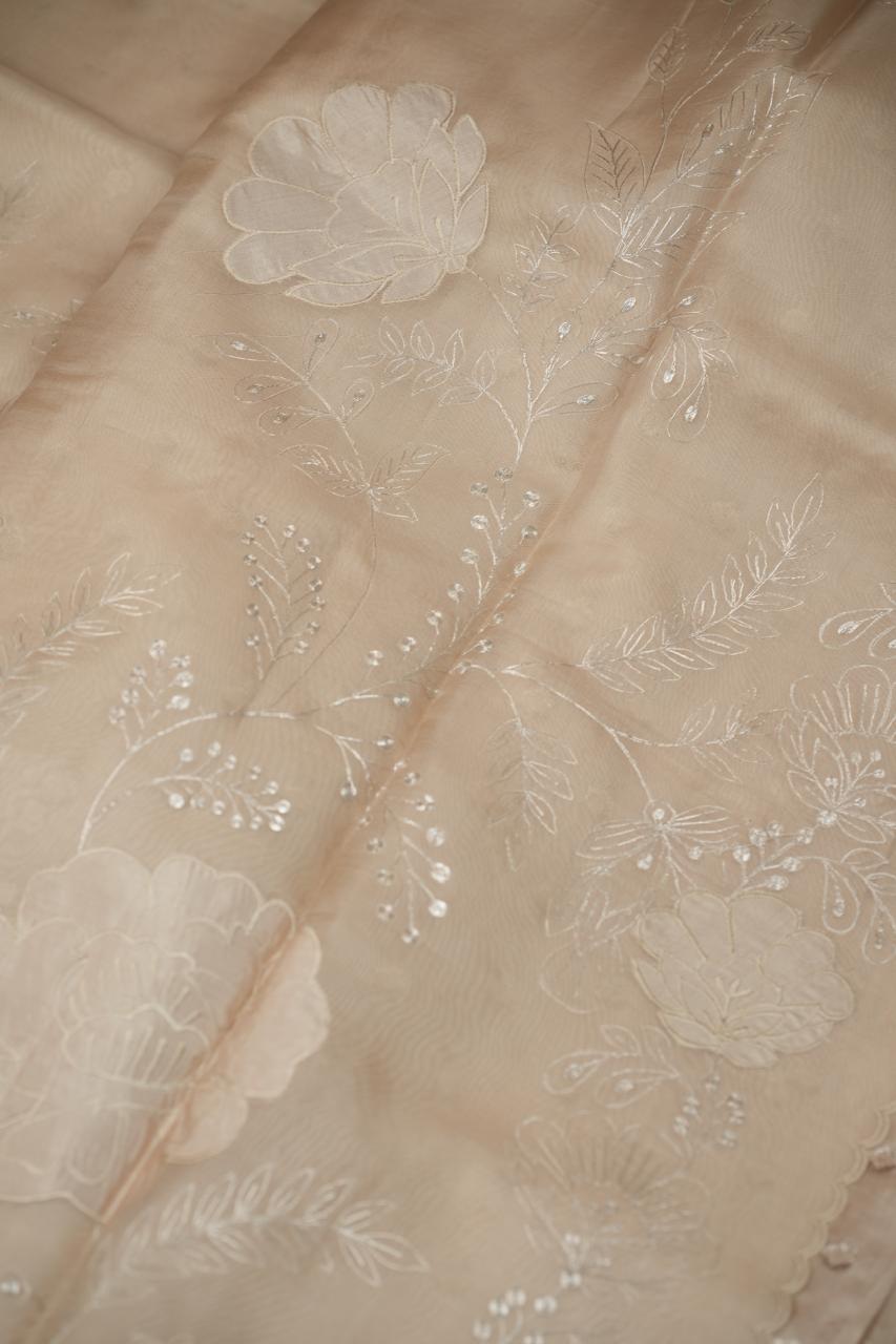 Organza Saree TSA5023