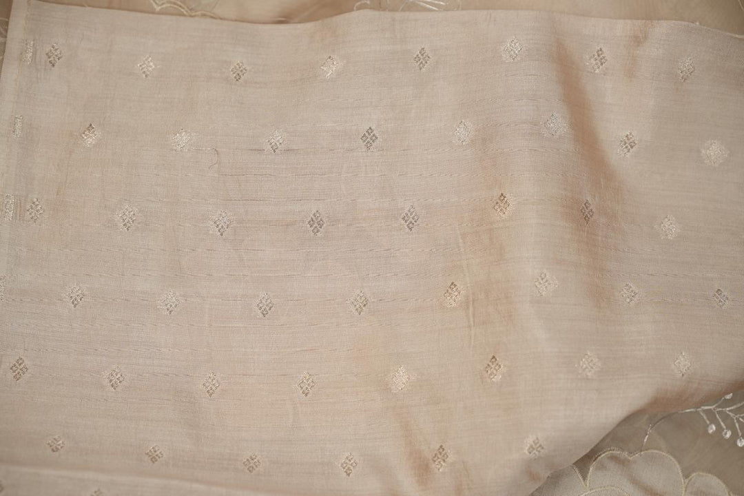 Organza Saree TSA5023