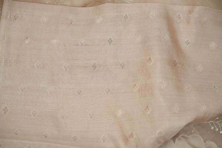 Organza Saree TSA5023