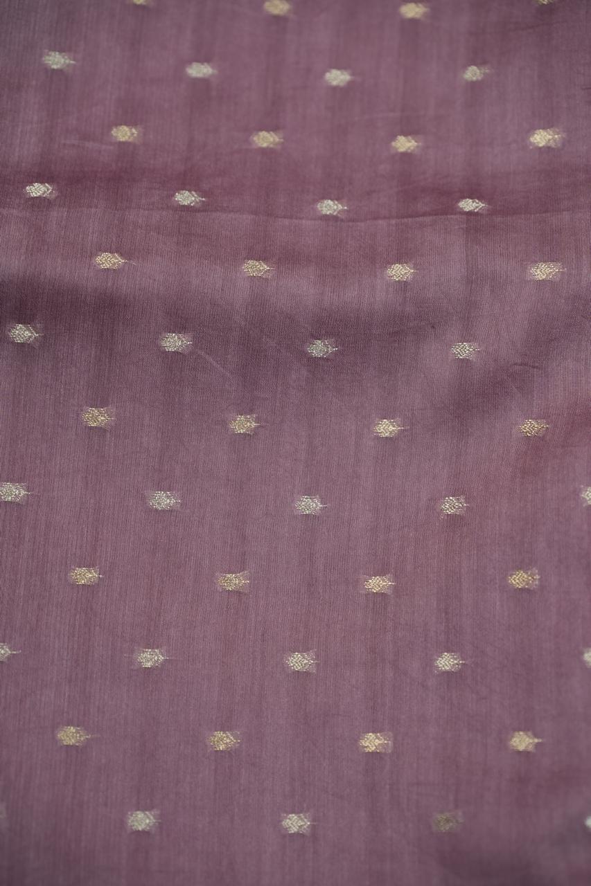 Organza Saree TSA5032