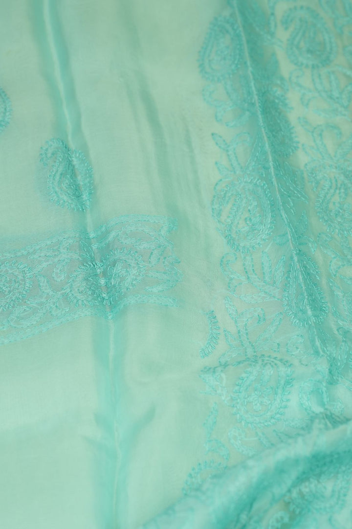 Organza Salwar TSS5040