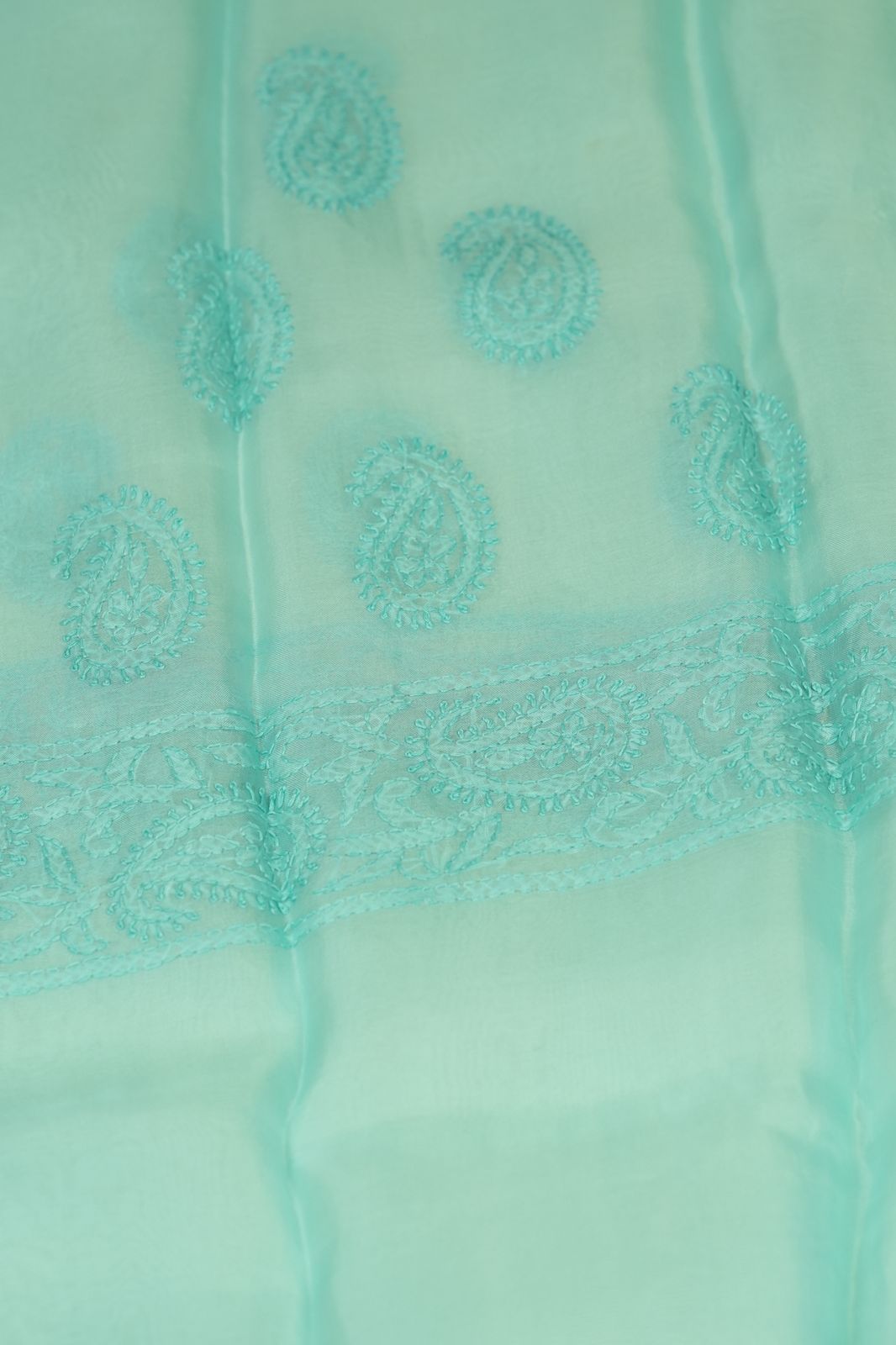 Organza Salwar TSS5040