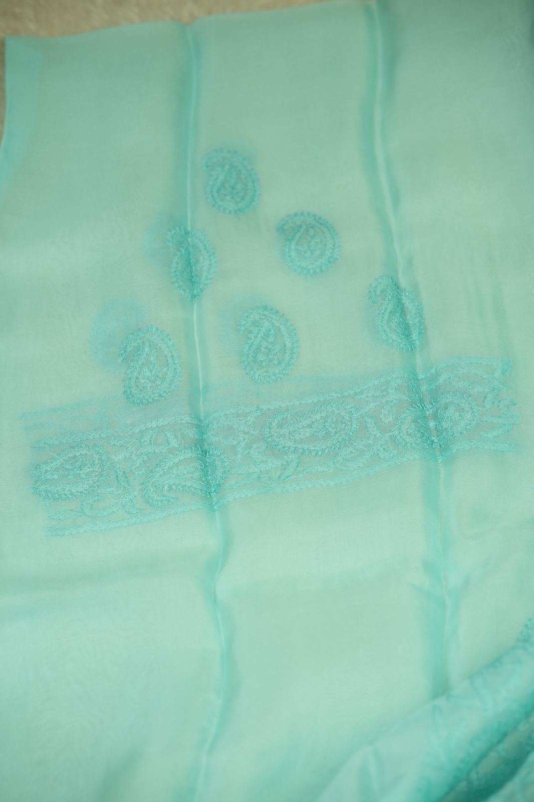 Organza Salwar TSS5040