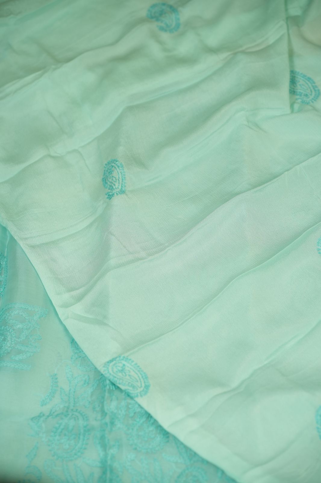 Organza Salwar TSS5040