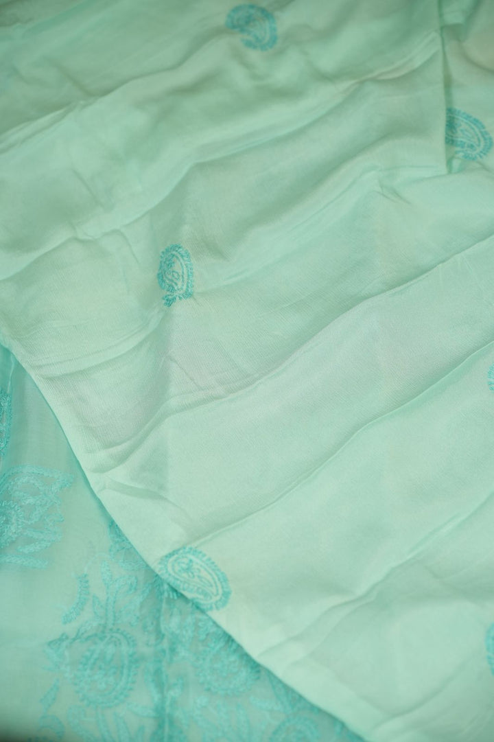 Organza Salwar TSS5040