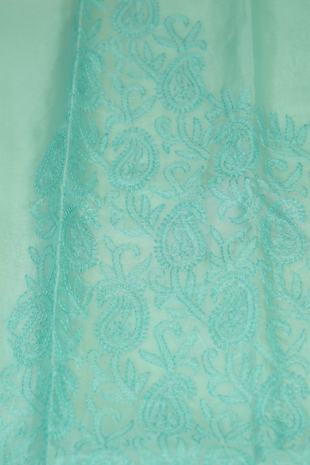 Organza Salwar TSS5040