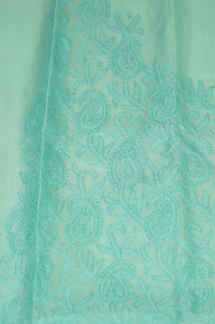 Organza Salwar TSS5040
