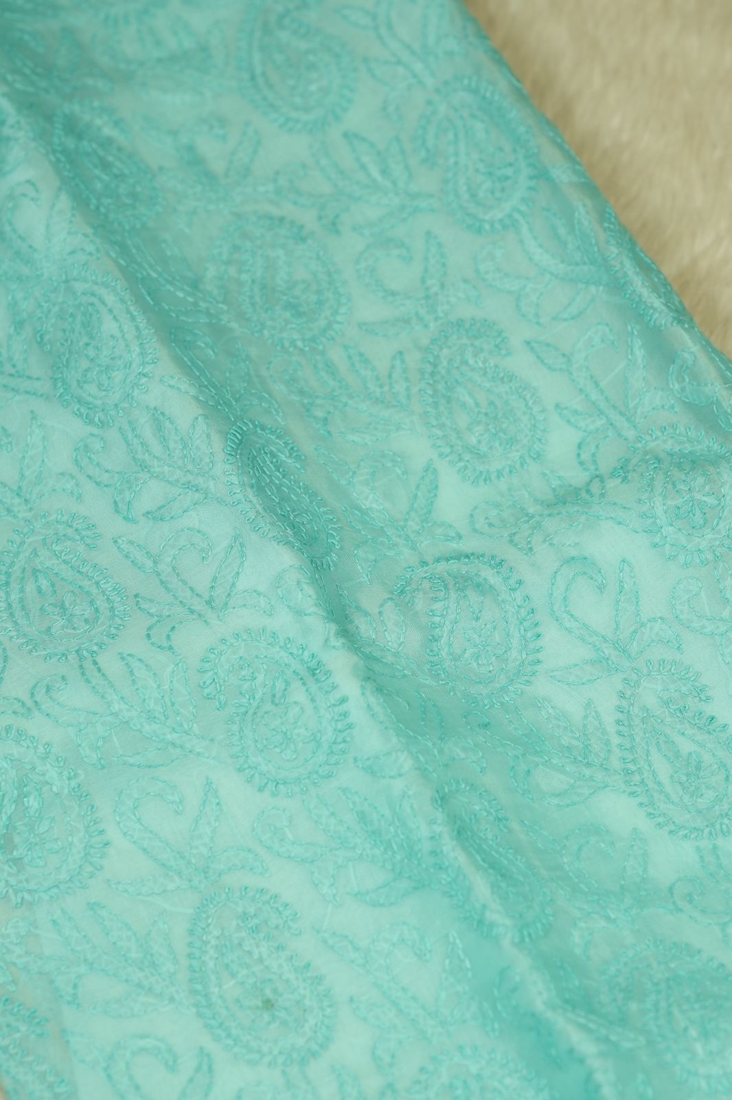 Organza Salwar TSS5040