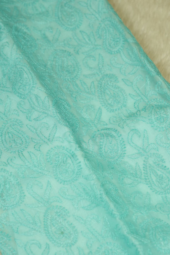 Organza Salwar TSS5040