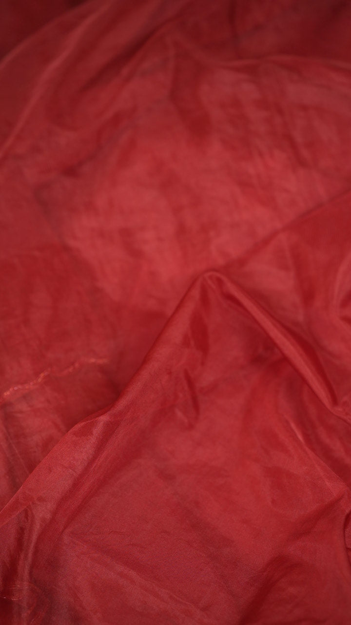 Organza Saree TSA5048
