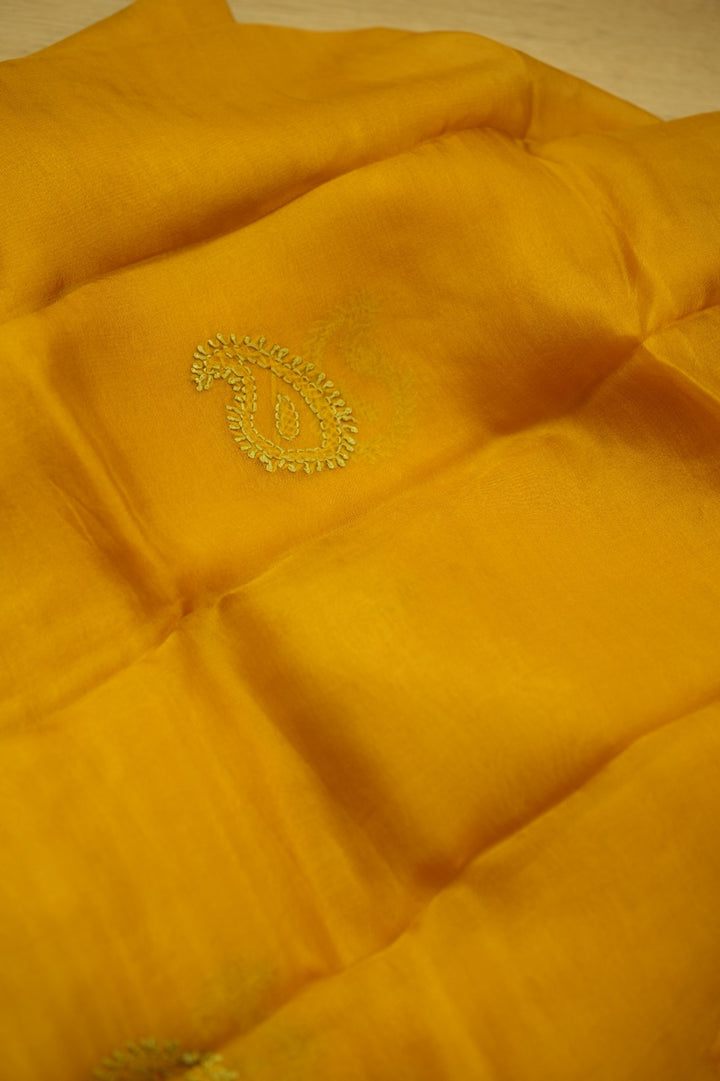Organza Salwar TSS5083