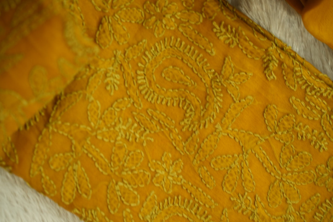 Organza Salwar TSS5083