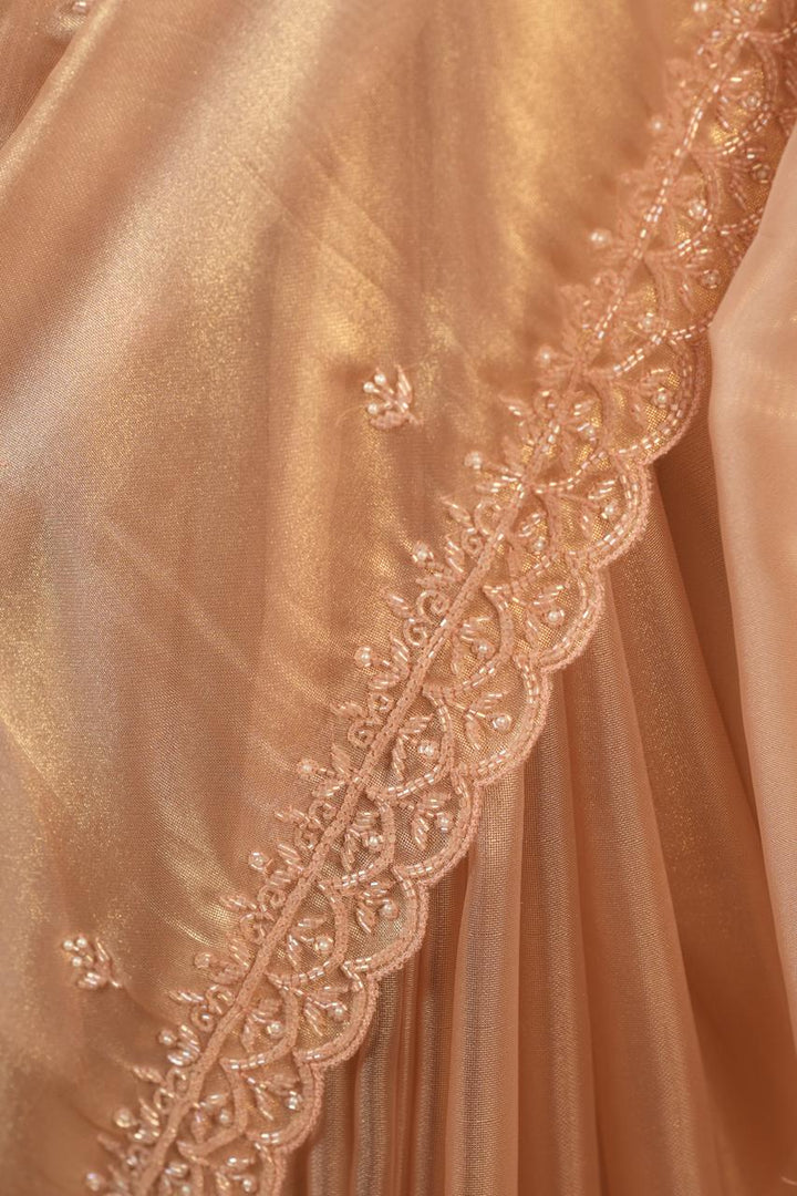Tissue Organza Saree TSA5088