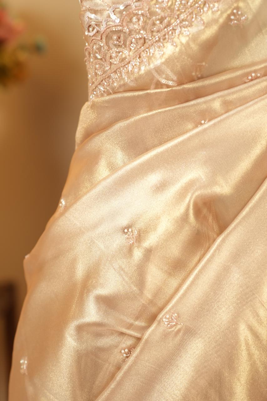 Tissue Organza Saree TSA5088