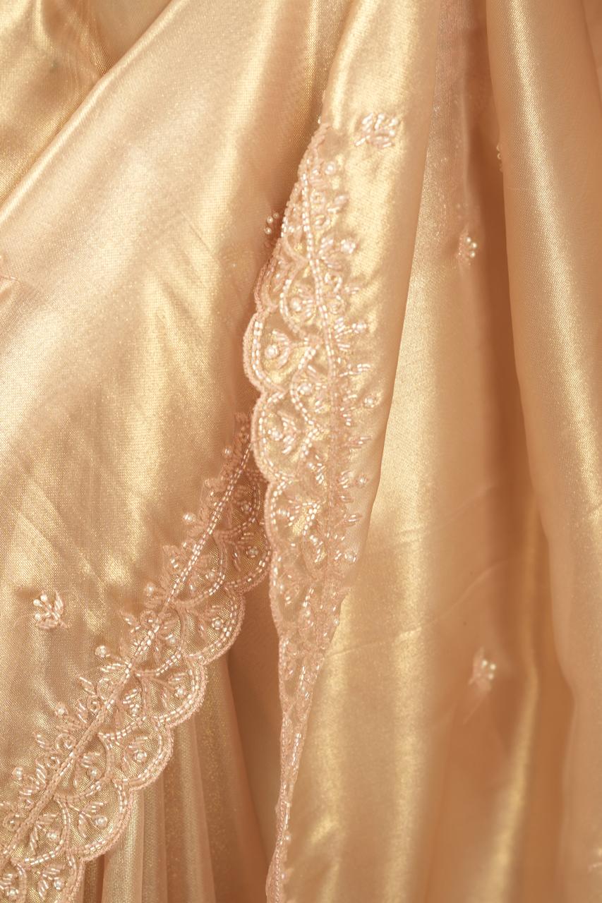 Tissue Organza Saree TSA5088