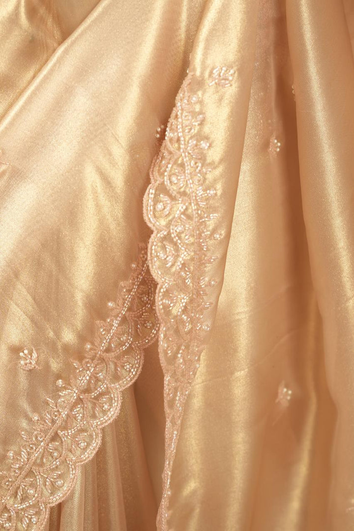 Tissue Organza Saree TSA5088