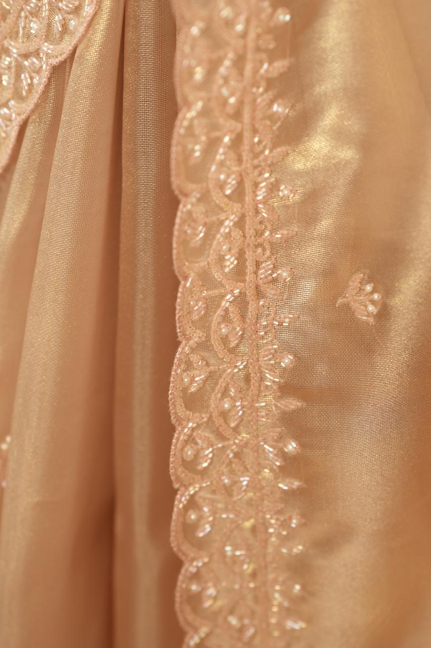 Tissue Organza Saree TSA5088