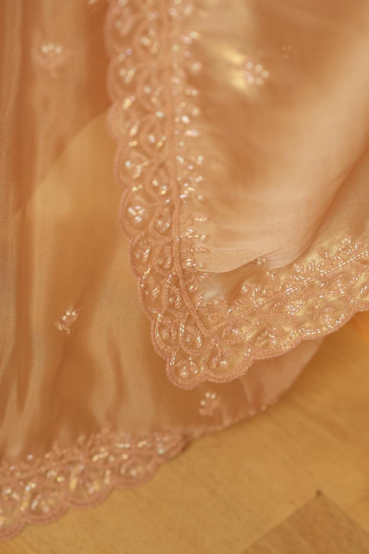 Tissue Organza Saree TSA5088