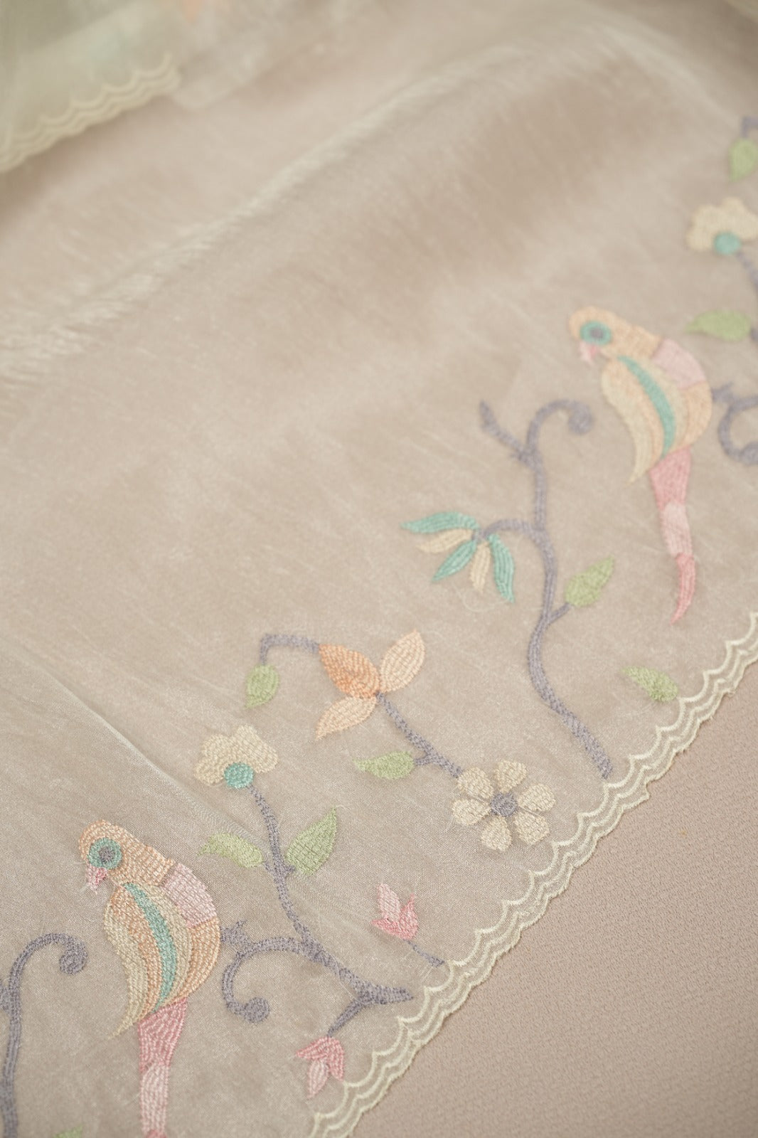 Crushed Organza Saree TSA5122