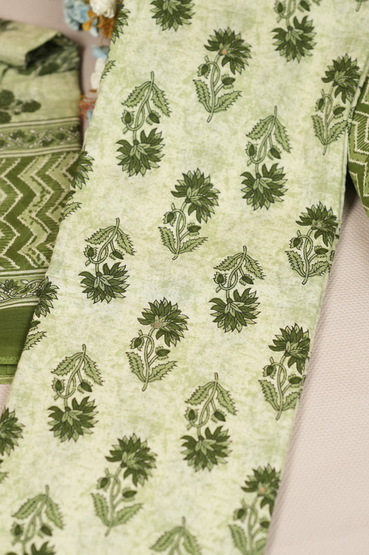 Cotton Salwar TSS0683