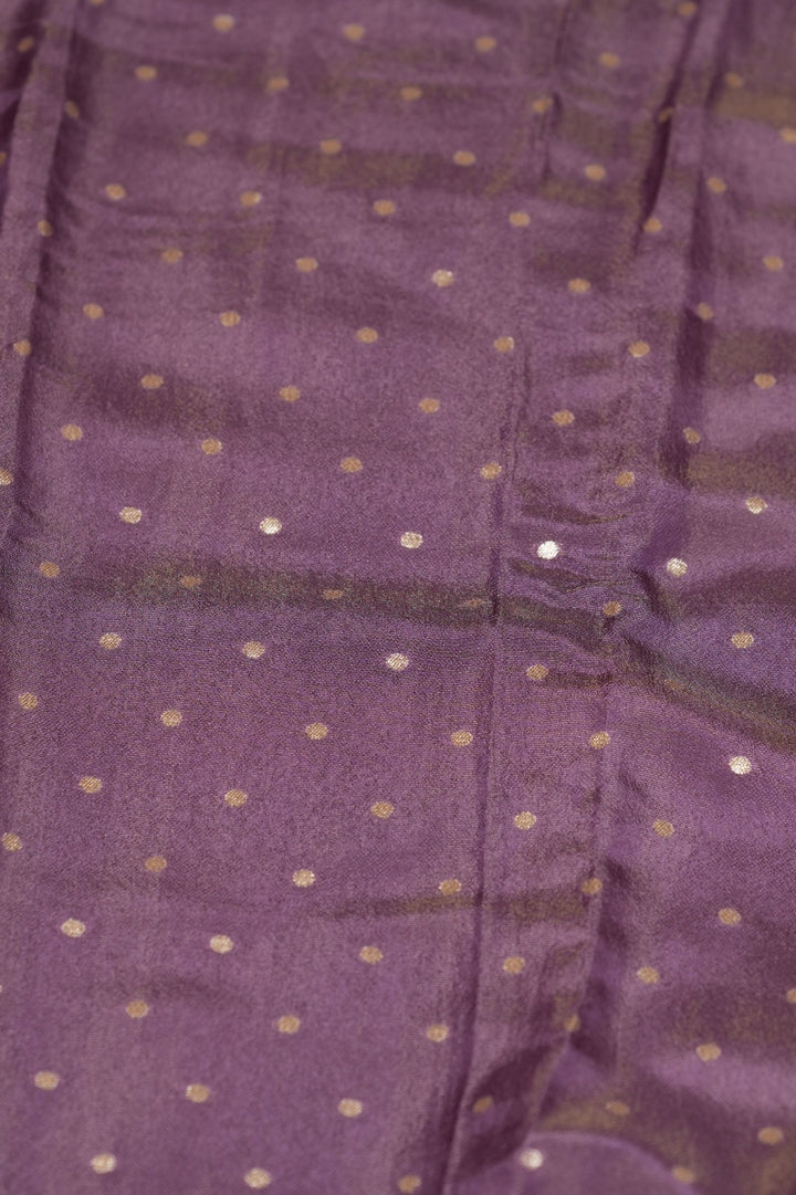 Tissue Silk Salwar TSS0680