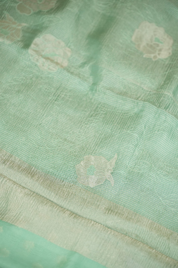 Organza Saree TSA5141