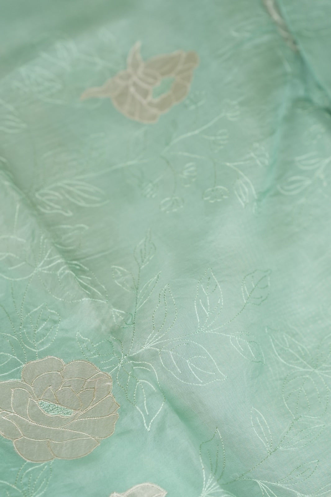 Organza Saree TSA5141