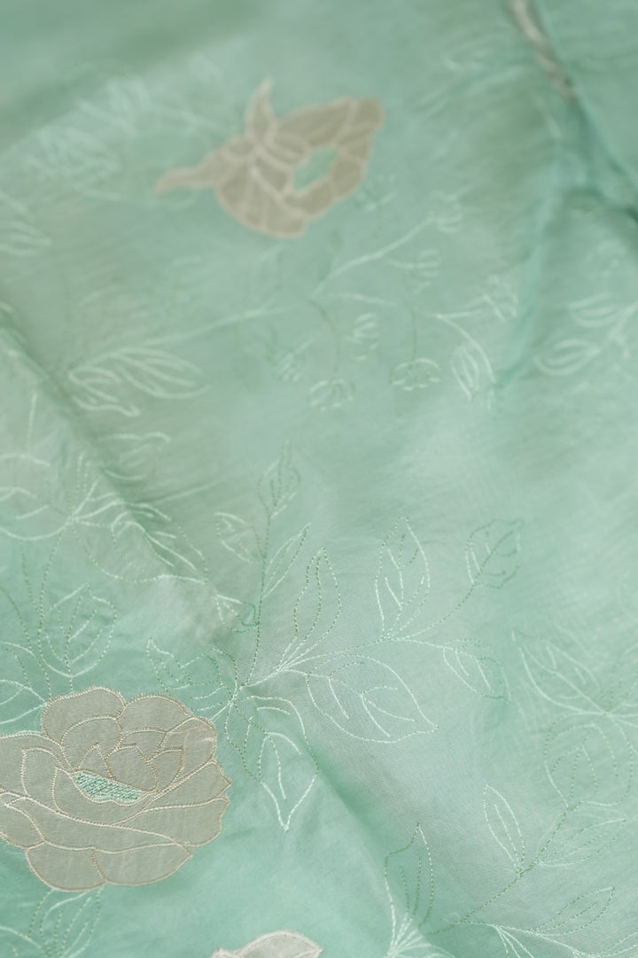 Organza Saree TSA5141