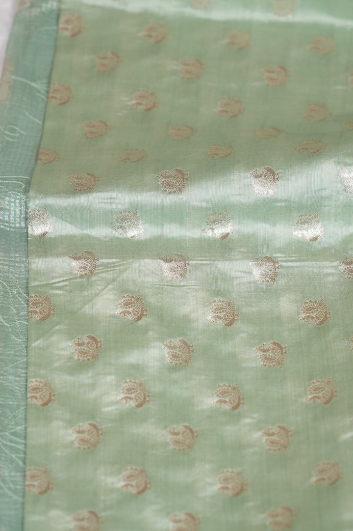 Organza Saree TSA5141