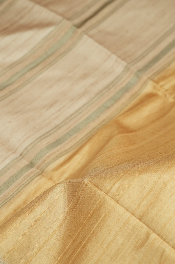 Semi Tussar Saree TSA5145