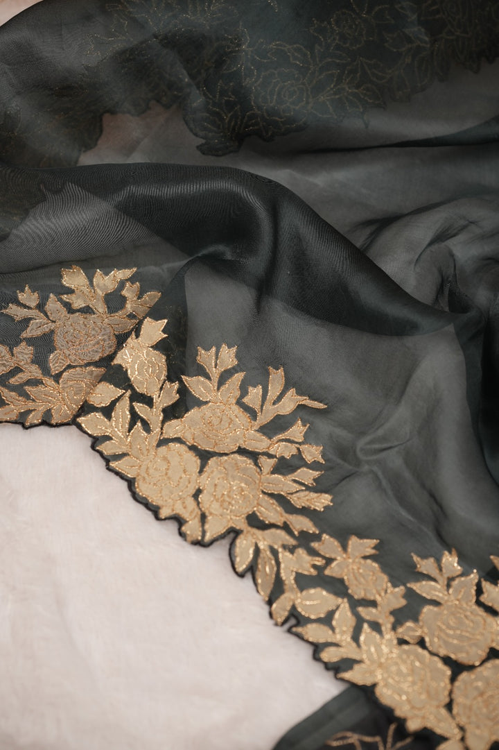 Organza Saree TSA5163