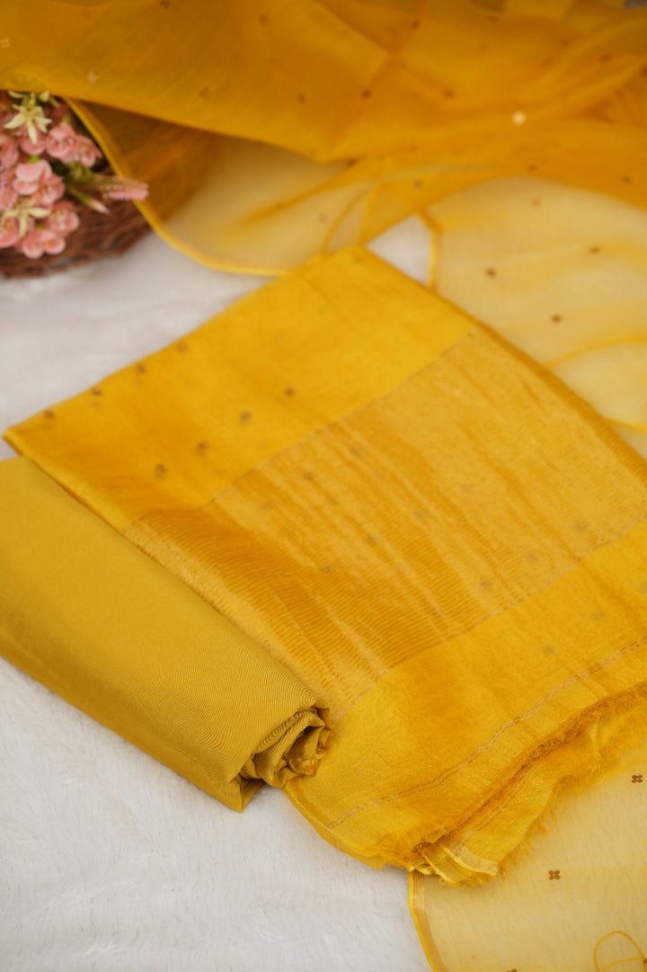 Tussar Organza Salwar TSS5167
