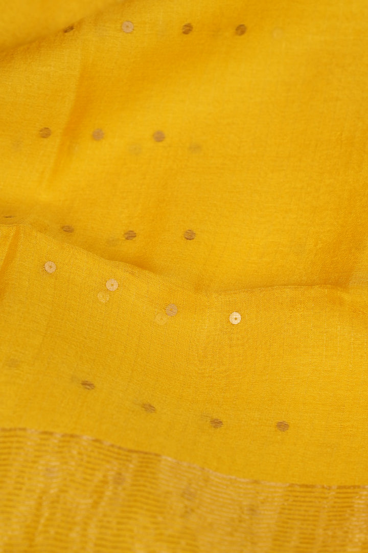 Tussar Organza Salwar TSS5167