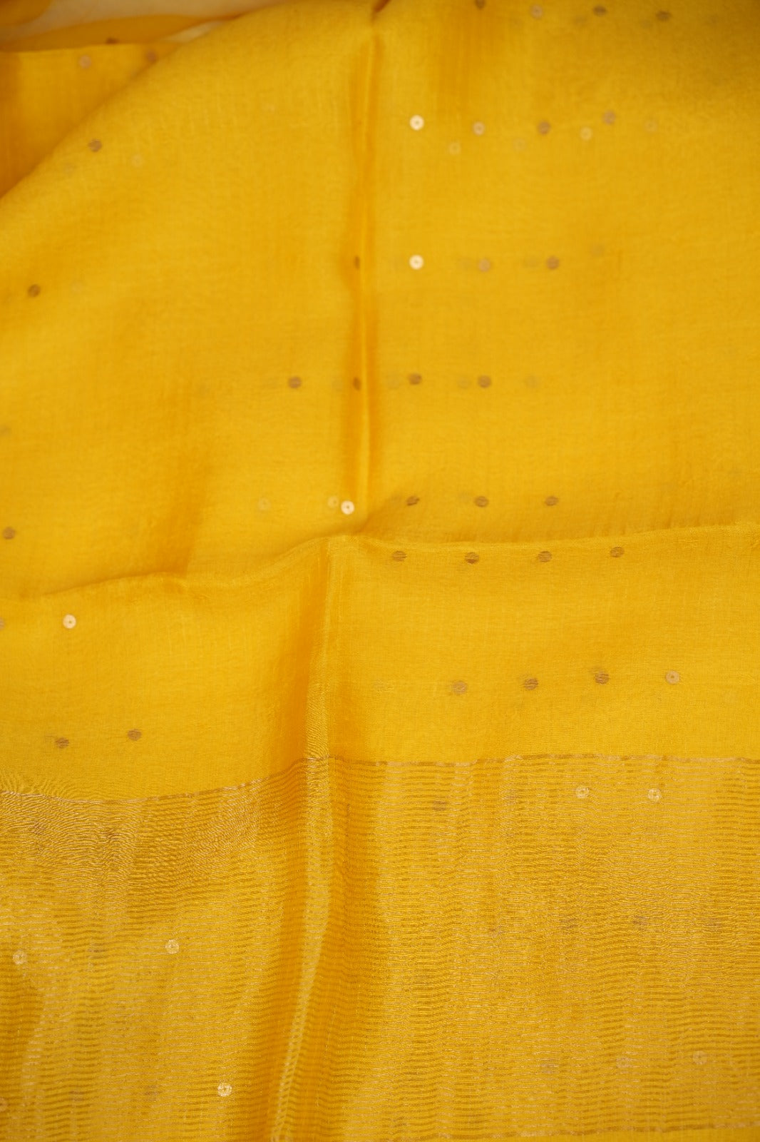 Tussar Organza Salwar TSS5167