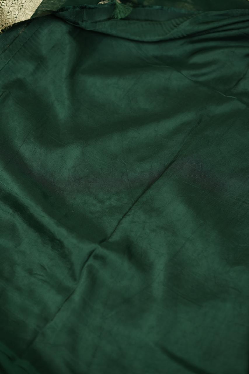 Georgette Banarasi Saree TSA5174