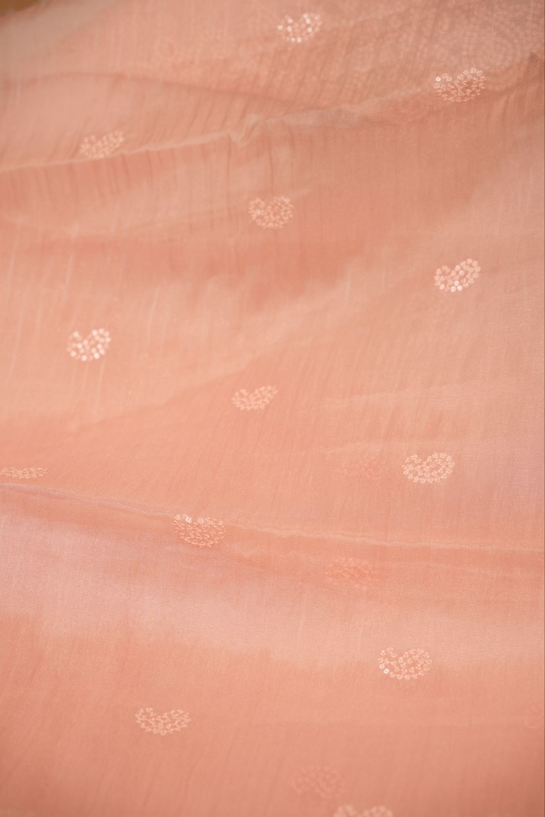 Shimmer Organza Saree TSA5196