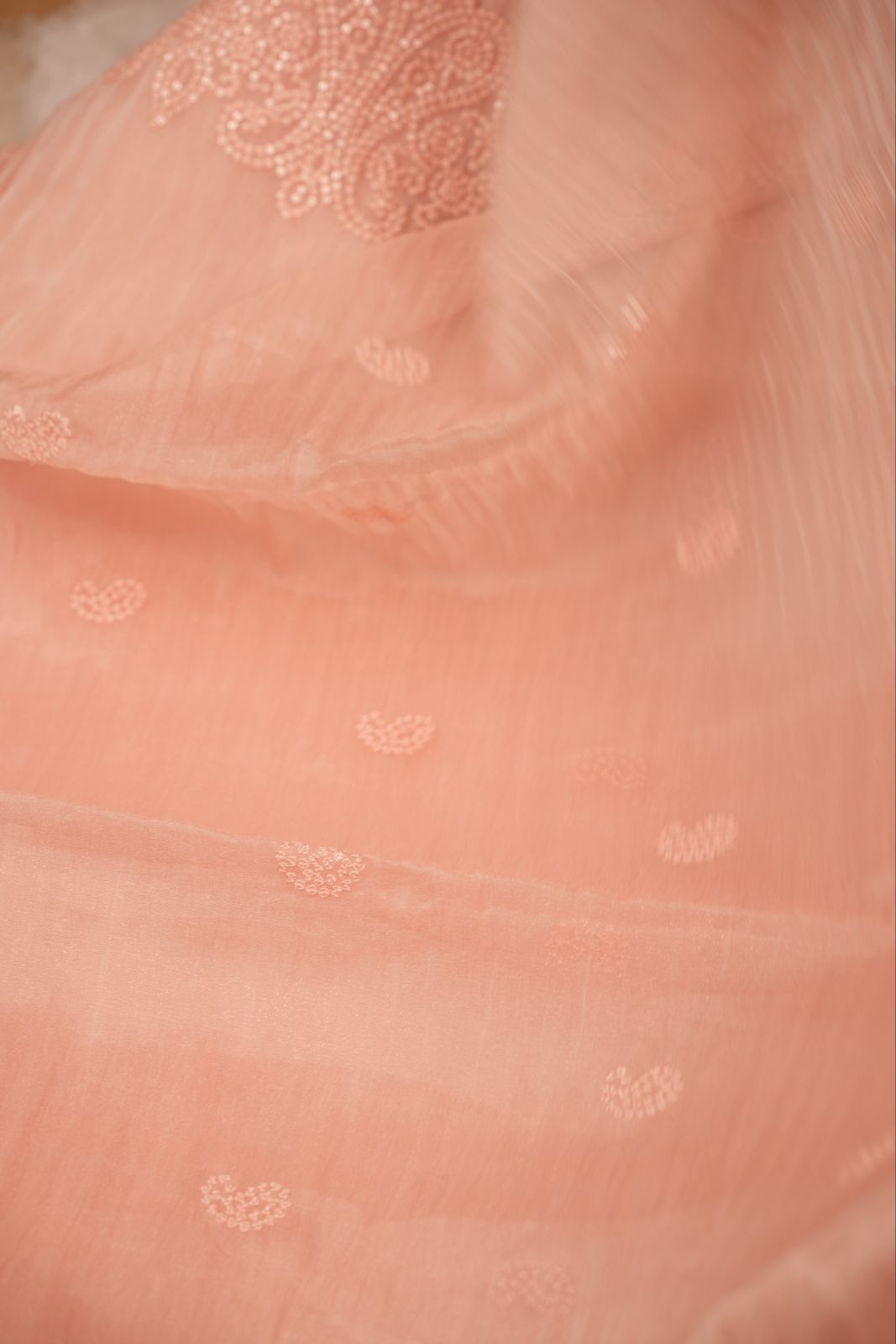 Shimmer Organza Saree TSA5196