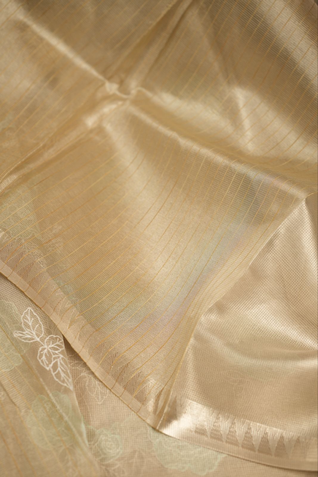 Tissue Net Saree TSA5197