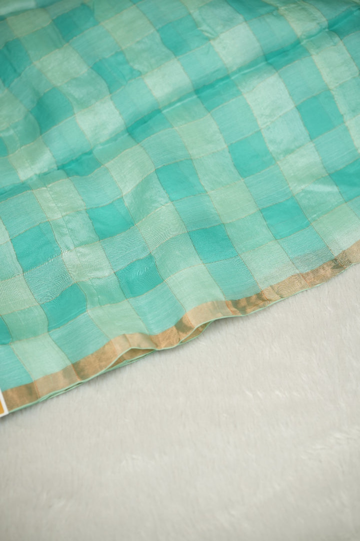 Tussar Organza Saree TSA5220