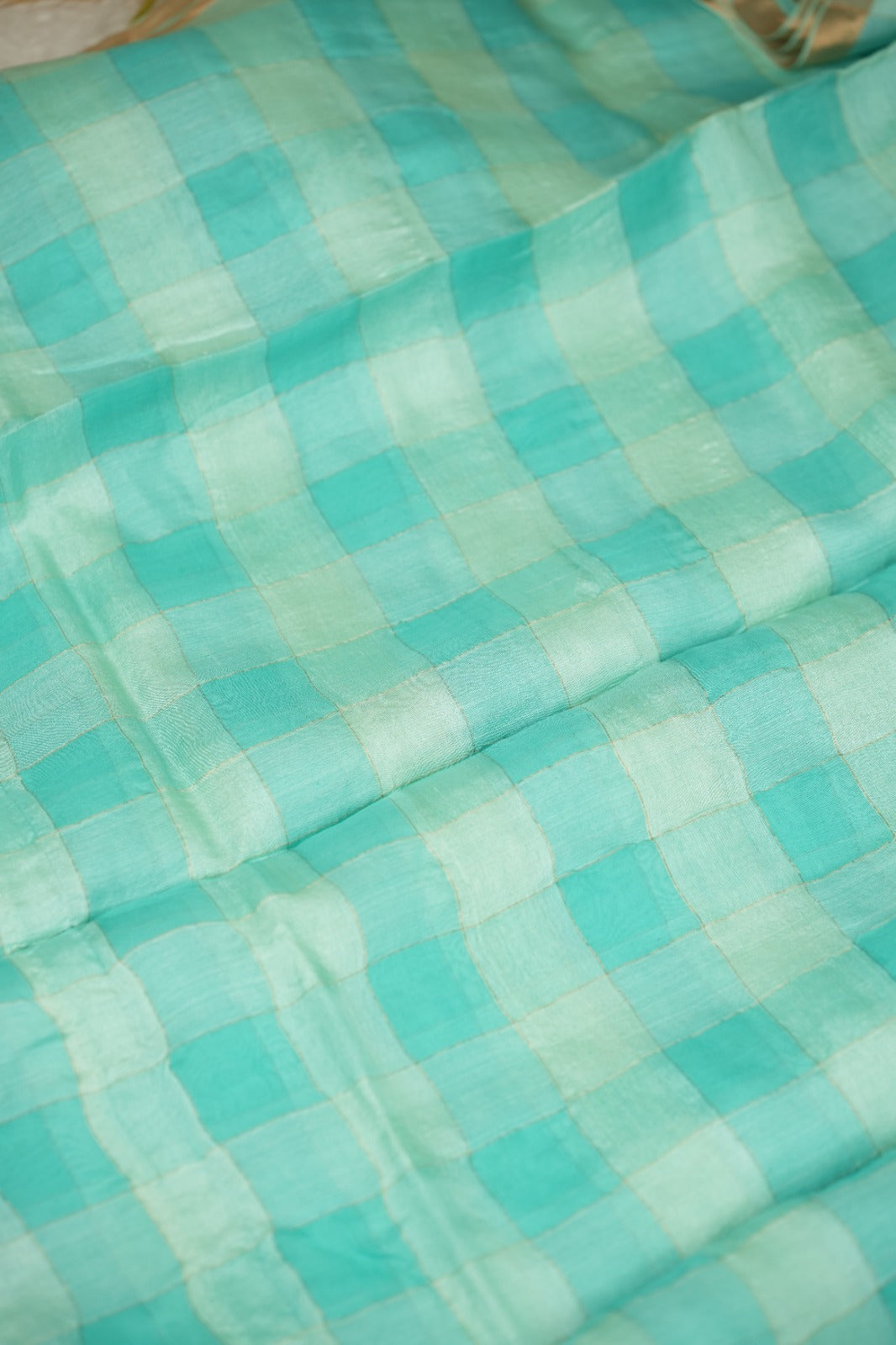 Tussar Organza Saree TSA5220