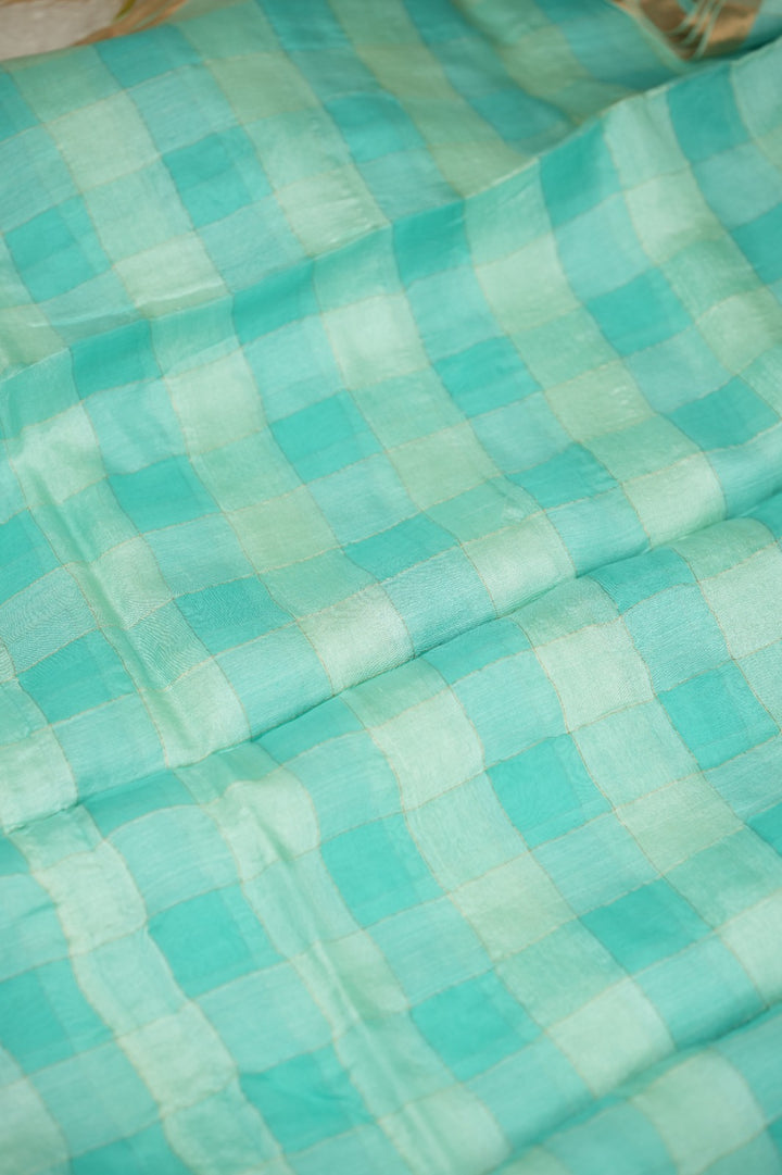 Tussar Organza Saree TSA5220