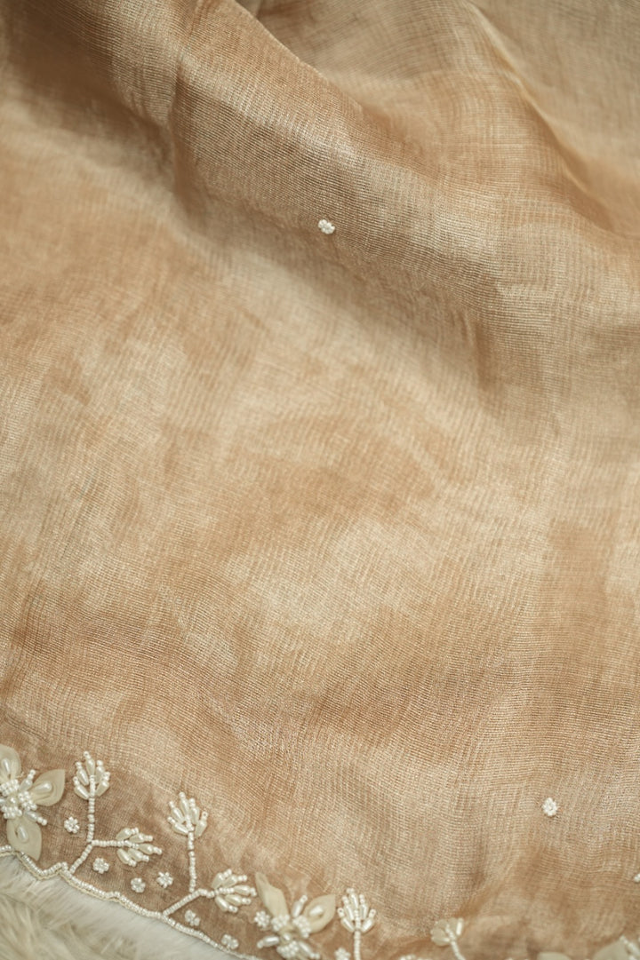 Jute Net Saree TSA5225