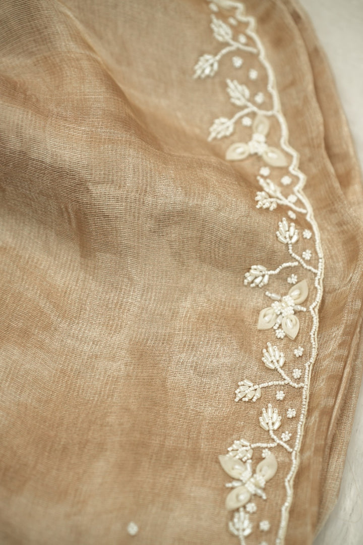 Jute Net Saree TSA5225